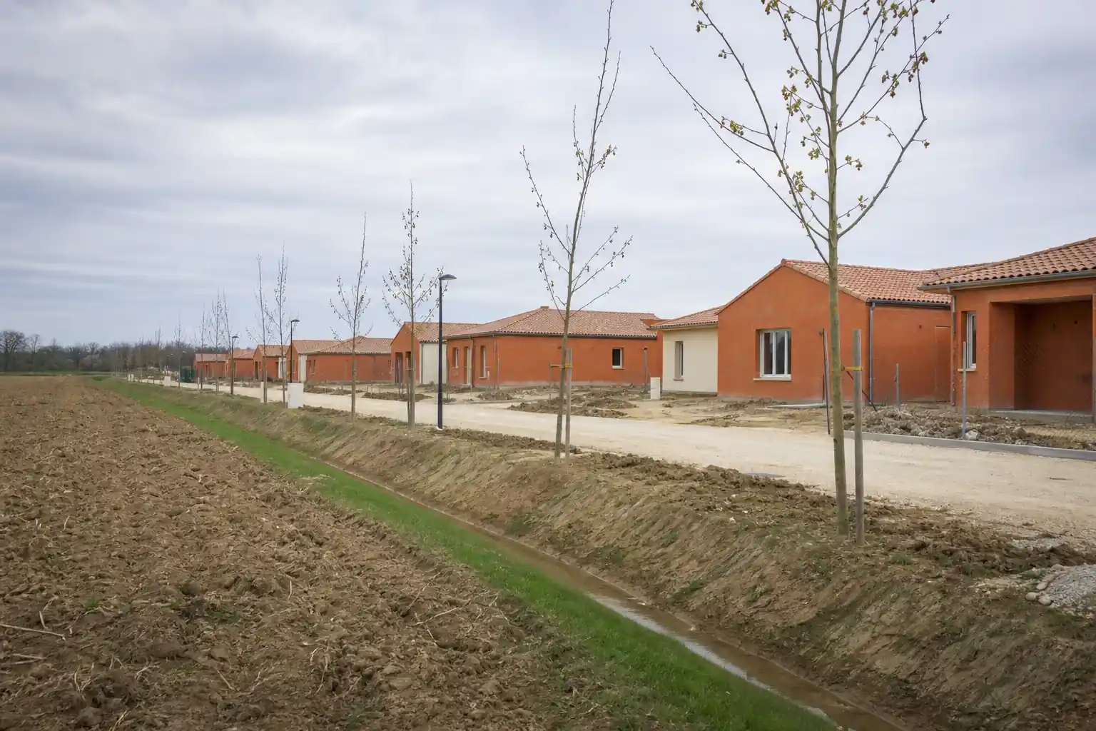 Frange d’un quartier pavillonnaire en extension sur d’anciennes terres agricoles, fossé de drainage et jeune alignement de platanes